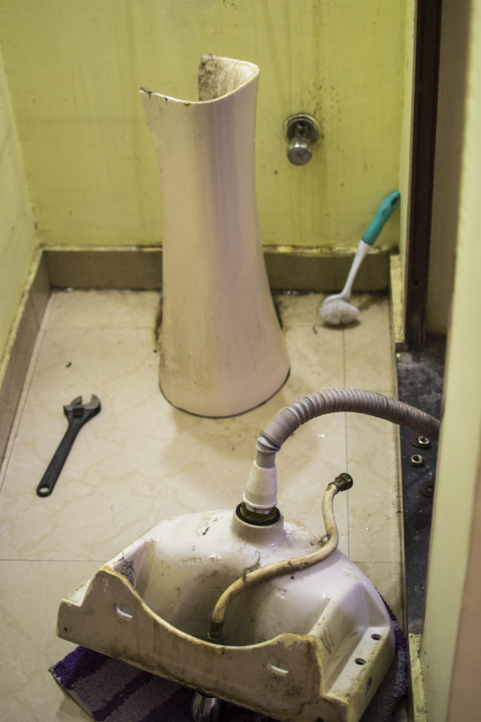 DSC_7347 (Lightroom)